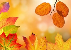 Les vacances d’automne au château et à l’Hôtel-Dieu